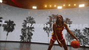 Fight On University Of Southern California GIF by USC Trojans