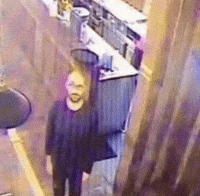 Staring Michael Stevens GIF
