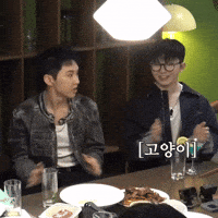 Lee Jihoon Cat GIF