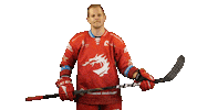 Ice Hockey Sticker Sticker by HC Oceláři Třinec