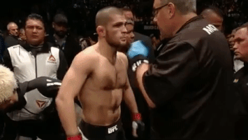ufc 205 GIF