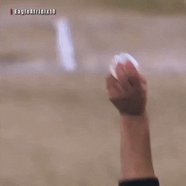 Brisbane Heat Eagle GIF