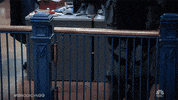 Season 7 Nbc GIF by Brooklyn Nine-Nine