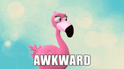 Surprised Pink GIF by orientaltrading