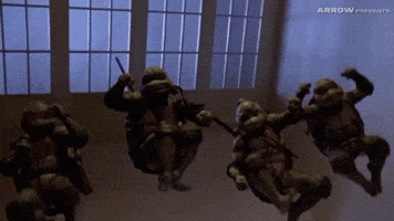 Martial Arts Comedy GIF by Arrow Video
