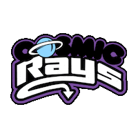 Cheer Rays Sticker by The Stingray Allstars