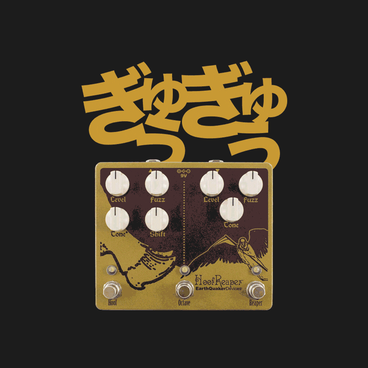 Guitar Effects GIF by EarthQuaker Devices