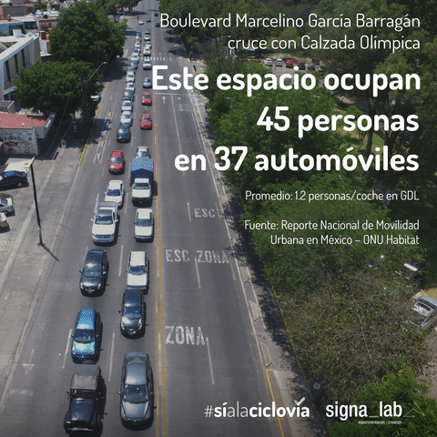 sergiobalditp giphyupload GIF