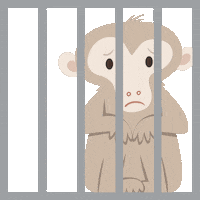 Test Monkey Sticker by PETA