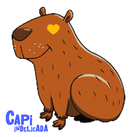 Capi Capivara Sticker by RIC Record TV