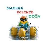 Kayakanat Sticker by Kapıkaya Fest
