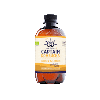 Ginger Kombucha Sticker by GUTsy Captain