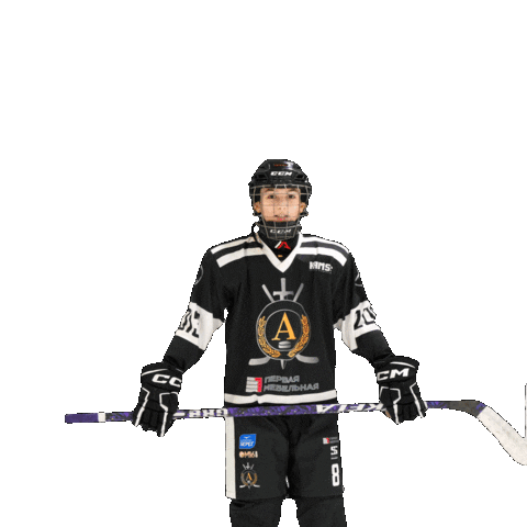 alfahockey giphyupload хоккей хоккеист альфа Sticker