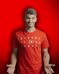 Hockey Czech GIF by HC Dynamo Pardubice