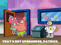 season 5 GIF by SpongeBob SquarePants