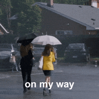 Speeding Lets Go GIF by Blake Lively Fan