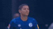 Football Clap GIF by FC Schalke 04