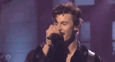 shawn mendes snl GIF by Saturday Night Live