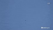 Look Up David Blaine GIF by YouTube