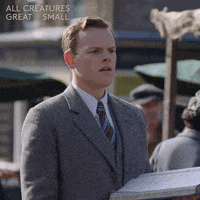 allcreaturestv animals writing pen yorkshire GIF