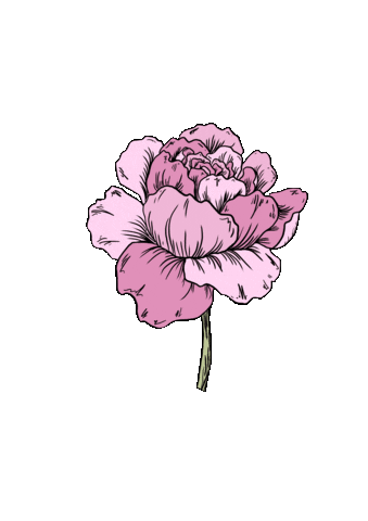 alysiamariaa giphyupload flower green pretty Sticker