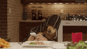 dog human eating GIF