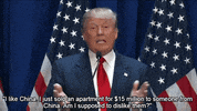 donald trump GIF