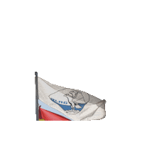 DLRGEhringshausen flag rescue strand baywatch Sticker