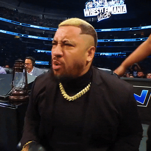 How Could They No Way GIF by WWE