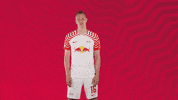 No Idea What GIF by RB Leipzig