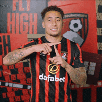 Happy Football GIF by AFC Bournemouth