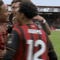 Happy Premier League GIF by AFC Bournemouth