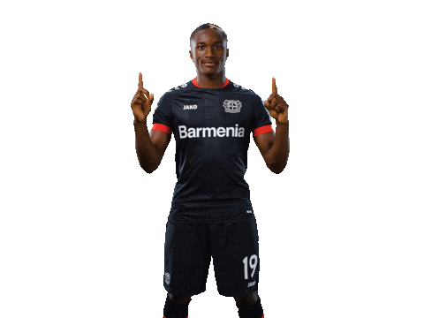 Bayer 04 Swipe Sticker by Bayer 04 Leverkusen