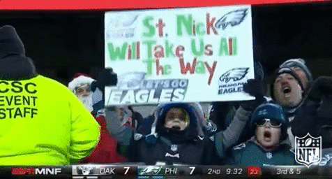 philadelphia eagles football GIF by NFL