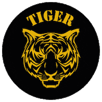Champsprogram Sticker by Bonjasky Academy