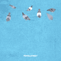 womens rights texas GIF by Voto Latino