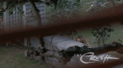 the crush GIF by Morgan Creek