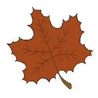 nandagravon_ canada autumn maple Ilustração Sticker