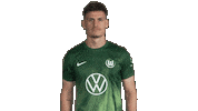 Three Points Win Sticker by VfL Wolfsburg