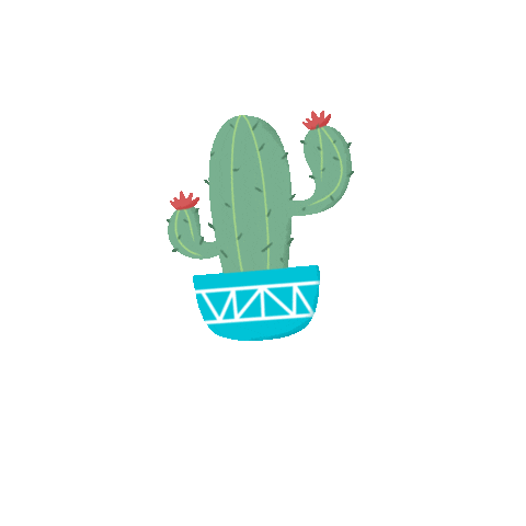 tassiarocha giphyupload planta cacto persista Sticker