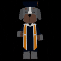 Ut Knoxville Graduation GIF by University of Tennessee, Knoxville Alumni