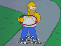 homer simpson GIF