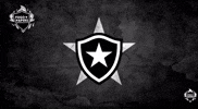 Botafogo De Futebol E Regatas Bfr GIF