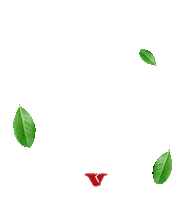 ervamatevier mate vier chimarrao chima Sticker