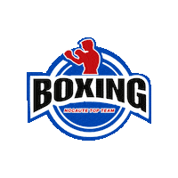 Boxe Sticker by Nocaute