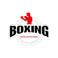 Boxe Sticker by Nocaute