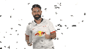 Ea Sports Fifa Sticker by Bundesliga