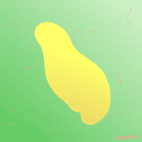 animation domination fox GIF by gifnews