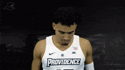 Pcbb15 GIF by Providence Friars
