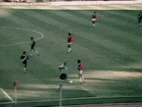 Colorado Inter GIF by Sport Club Internacional